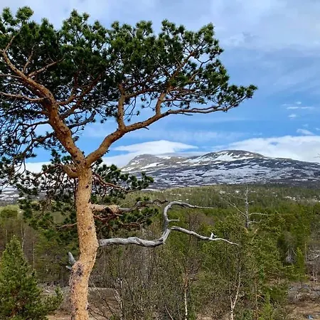 Saltfjellet فندق Lonsdal